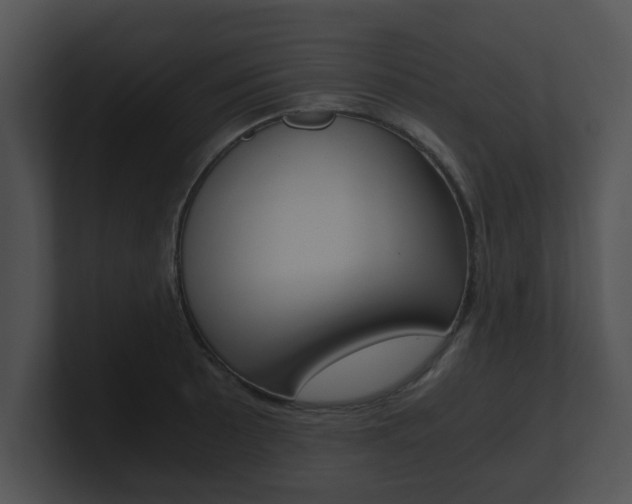 X0000100901089200806241025