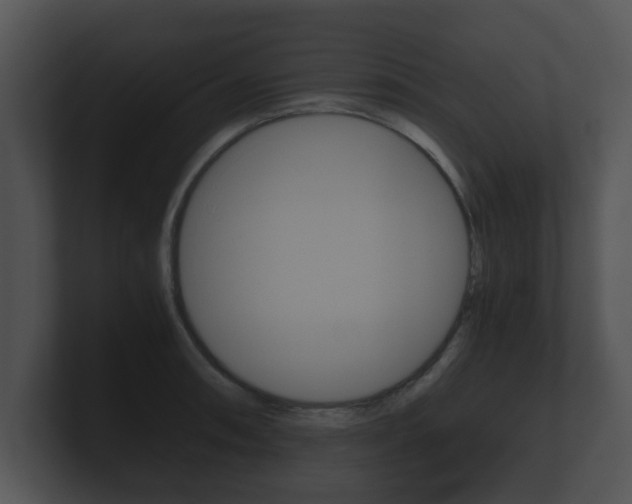 X0000100901090200806241025