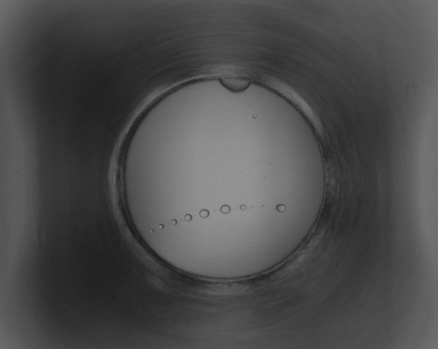 X0000100901091200806241025