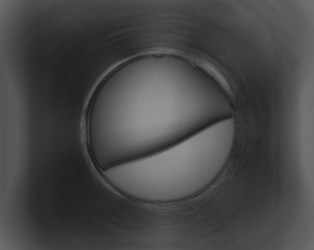 X0000100901092200806241025