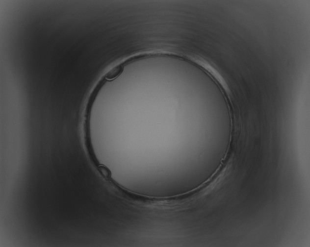 X0000100901093200806241025