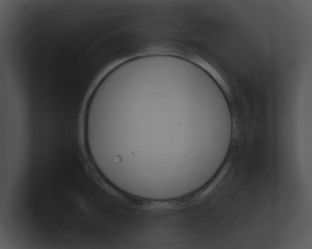 X0000100901094200806241025
