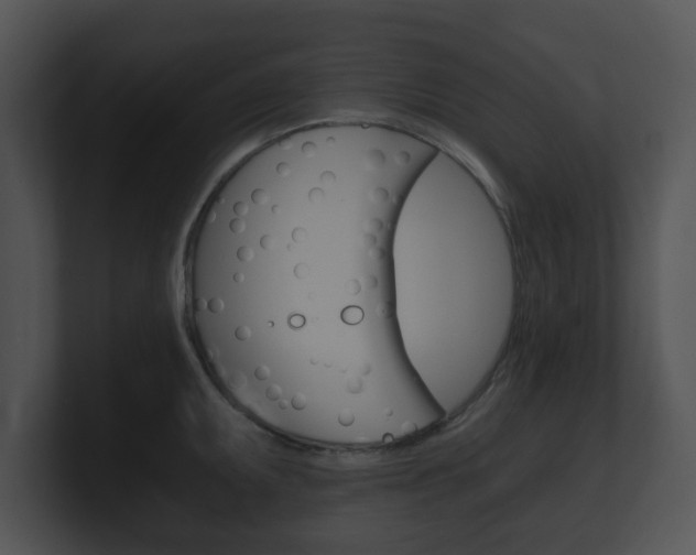 X0000100901095200806241025
