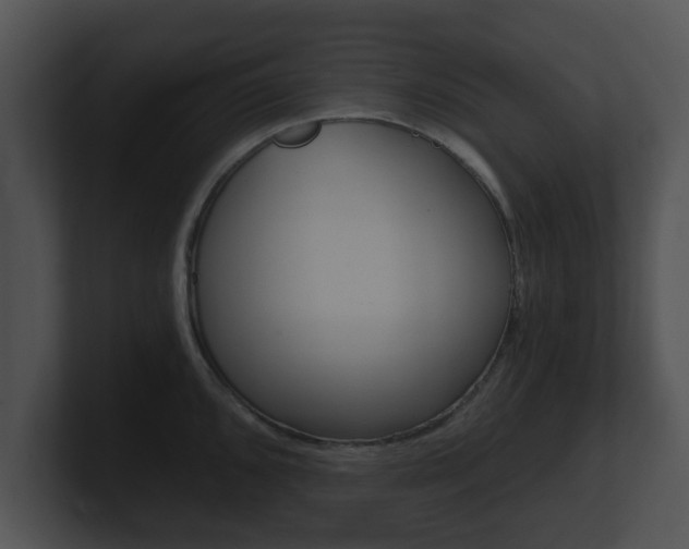 X0000100901096200806241025
