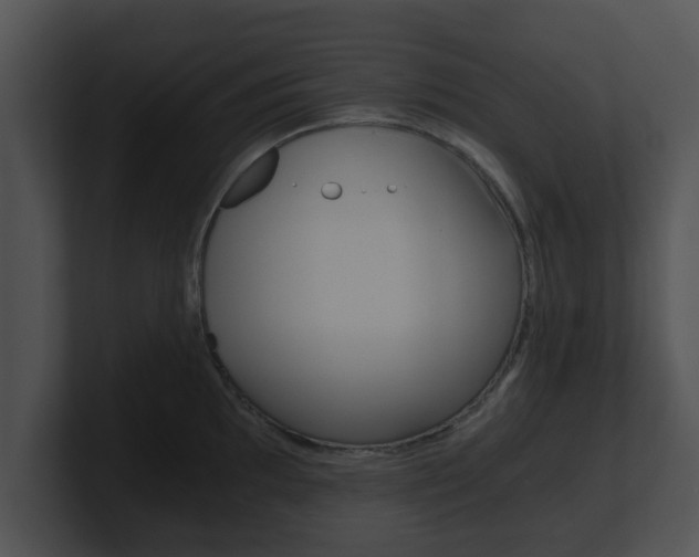 X0000100901097200806241025