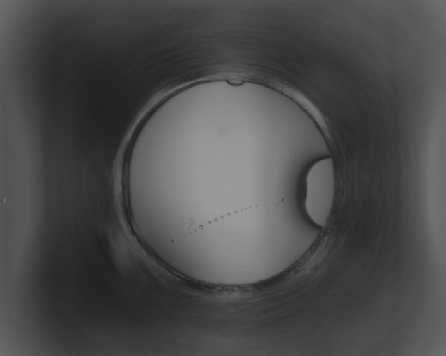 X0000100901099200806241025