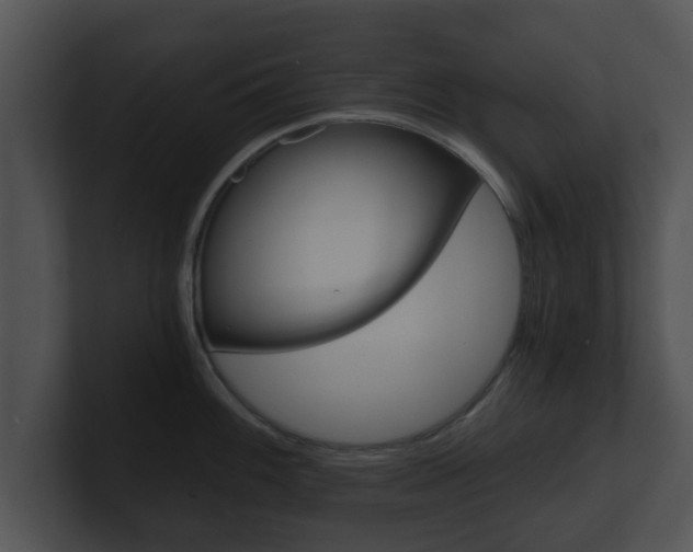 X0000100901100200806241025