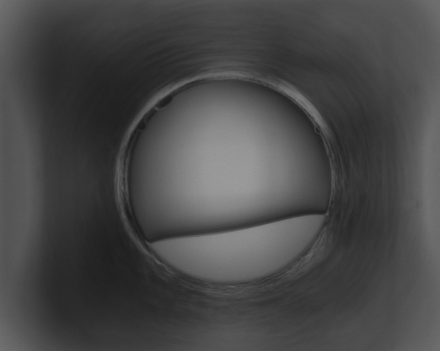 X0000100901101200806241025