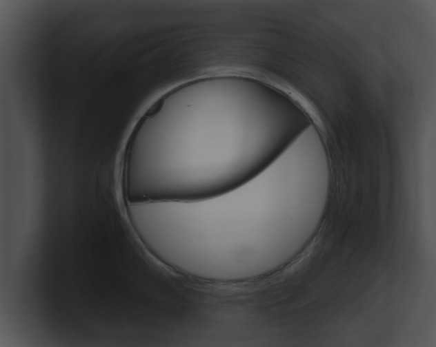 X0000100901102200806241025
