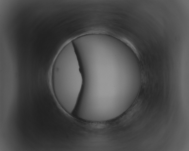 X0000100901103200806241025