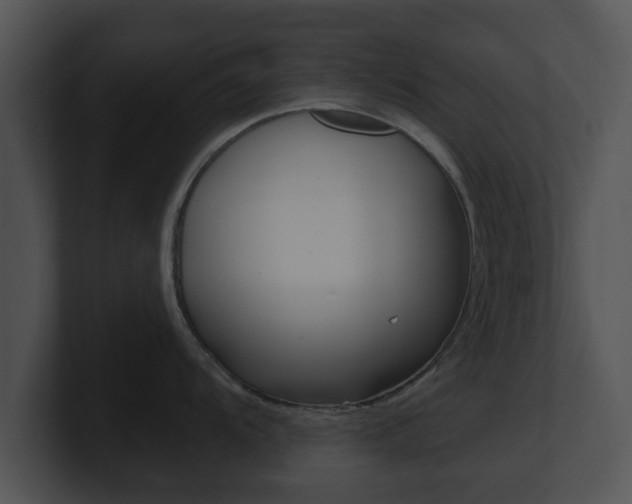 X0000100901104200806241025