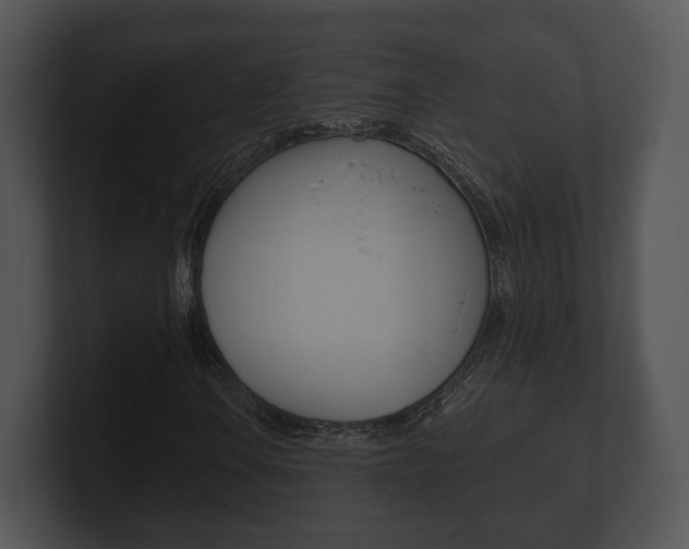 X0000100901106200806241024