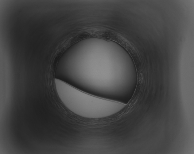 X0000100901108200806241024