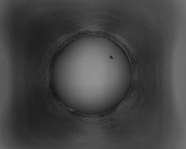 X0000100901110200806241024