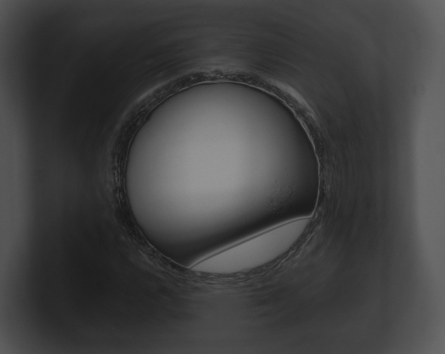 X0000100901112200806241024