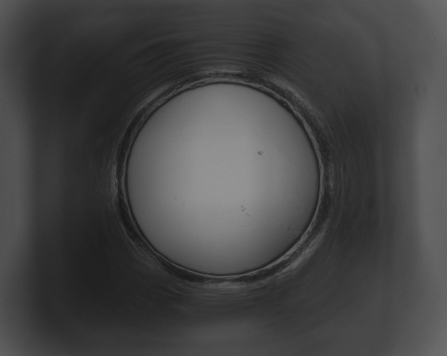 X0000100901113200806241024