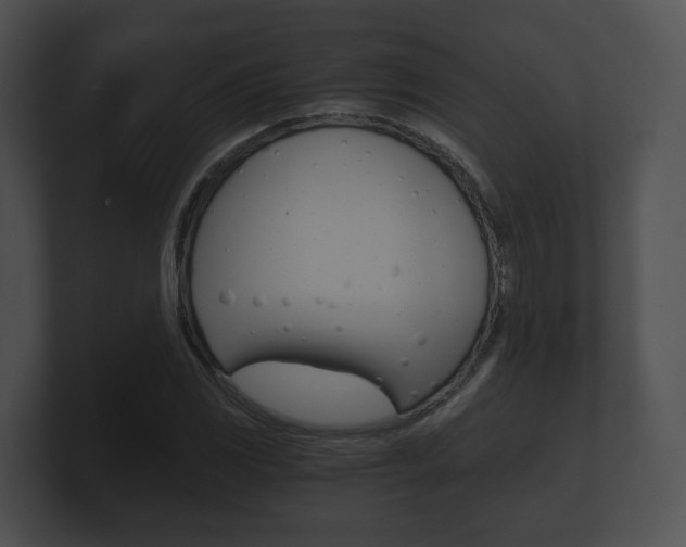X0000100901117200806241024
