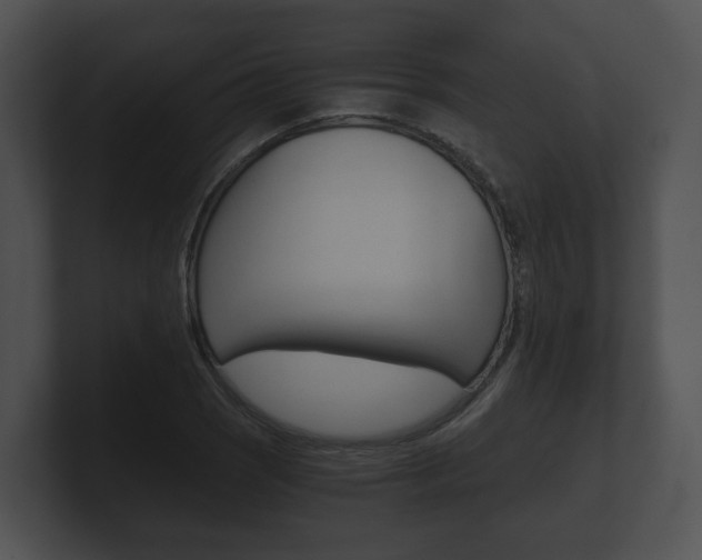 X0000100901121200806241024