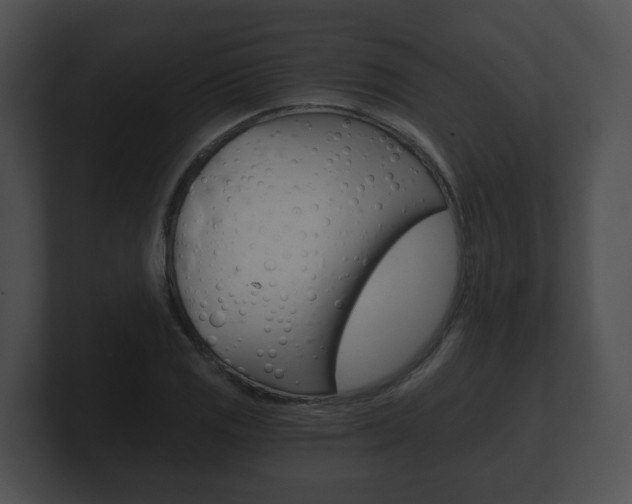 X0000100901125200806241024