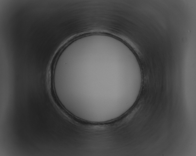 X0000100901126200806241024