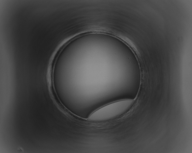 X0000100901128200806241025