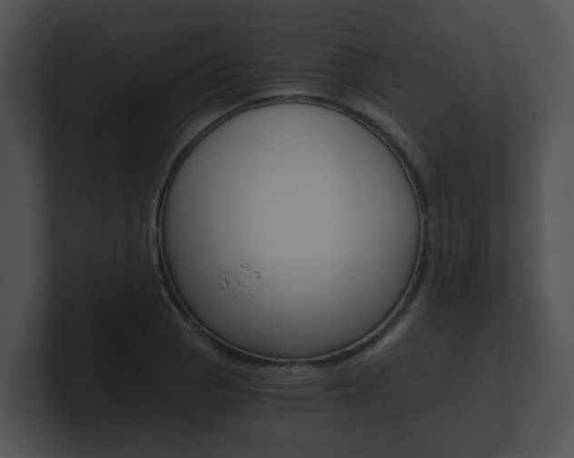 X0000100901129200806241025