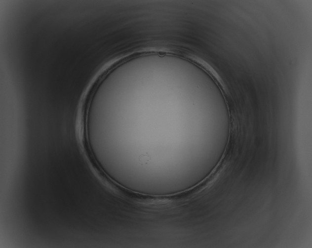 X0000100901131200806241025