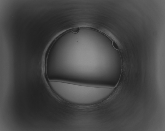 X0000100901132200806241025