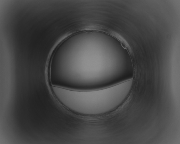 X0000100901138200806241025