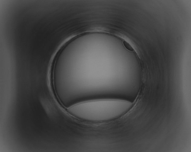 X0000100901139200806241025