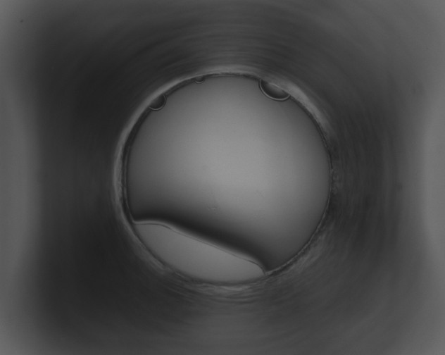 X0000100901140200806241025