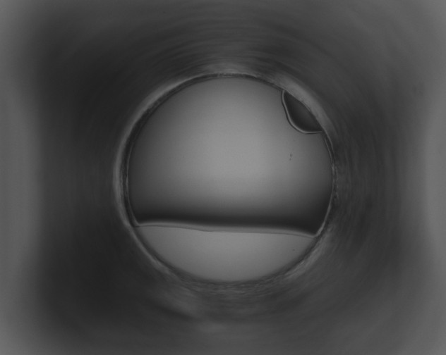 X0000100901141200806241025