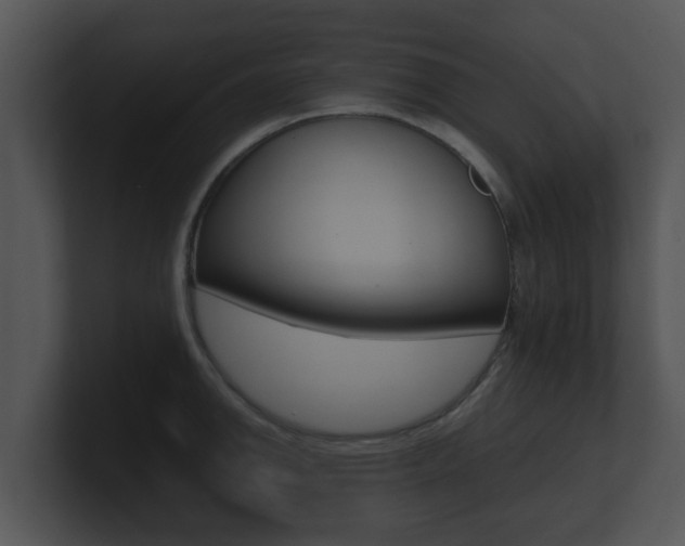 X0000100901142200806241025