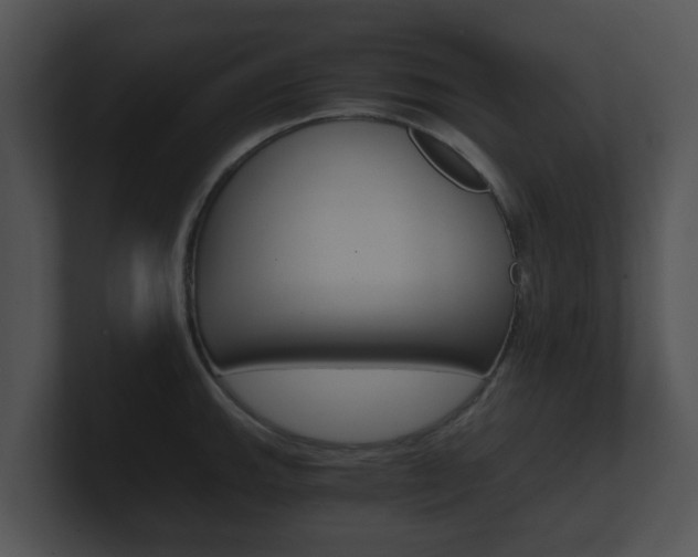 X0000100901143200806241025