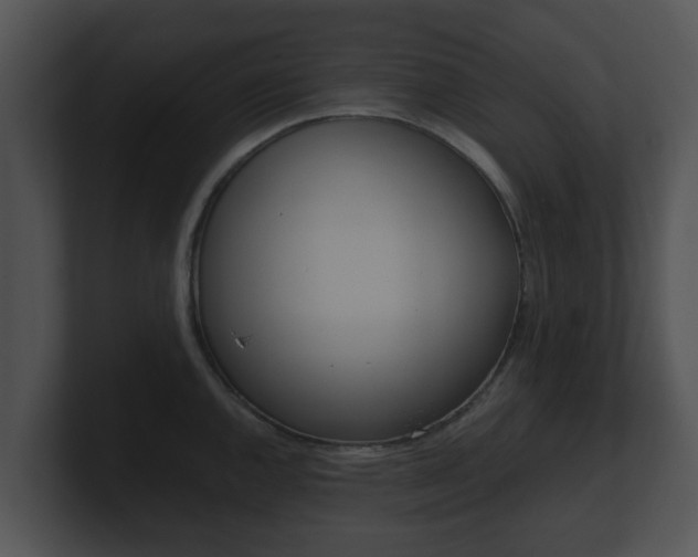 X0000100901144200806241025