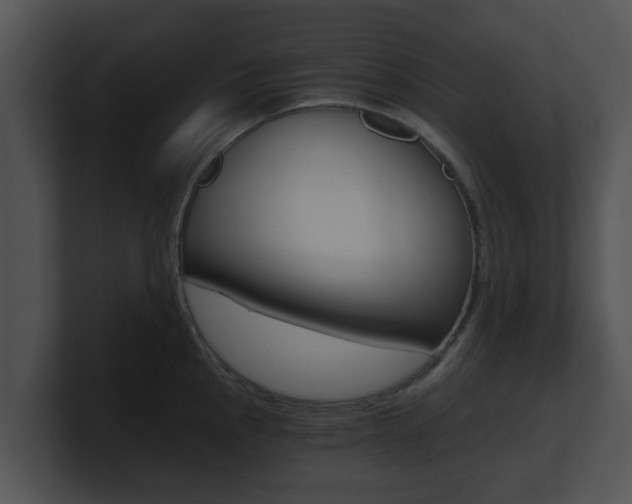 X0000100901145200806241025