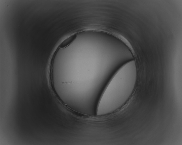 X0000100901146200806241025