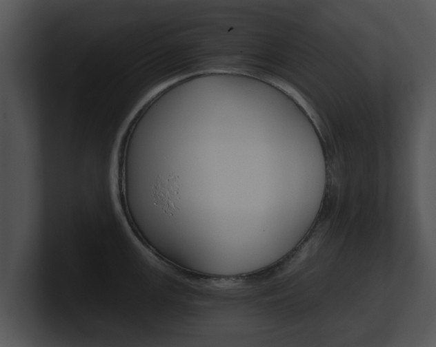 X0000100901147200806241025