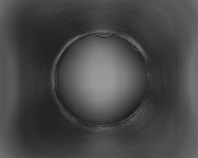 X0000100901148200806241025