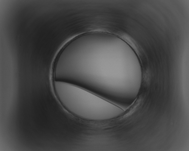 X0000100901149200806241025