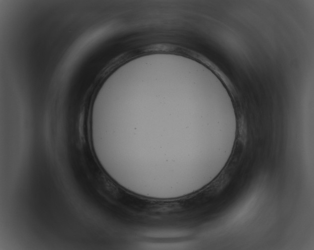 X0000100901150200806241025