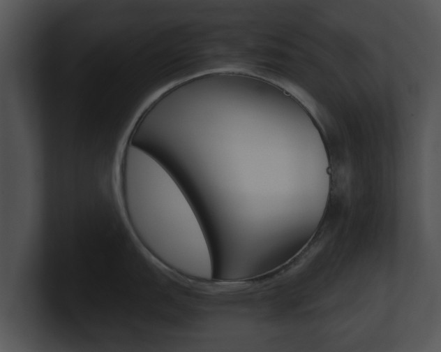 X0000100901151200806241025
