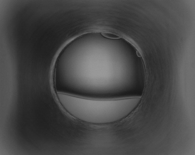 X0000100901152200806241025