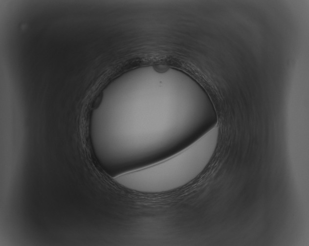 X0000100901153200806241024