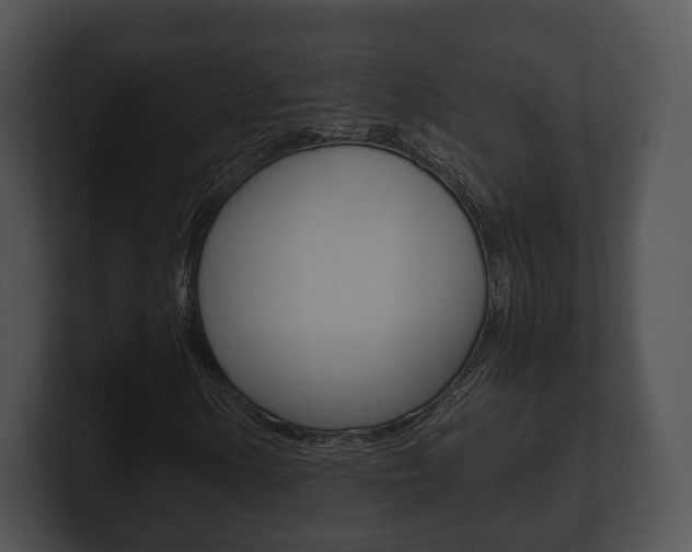 X0000100901154200806241024