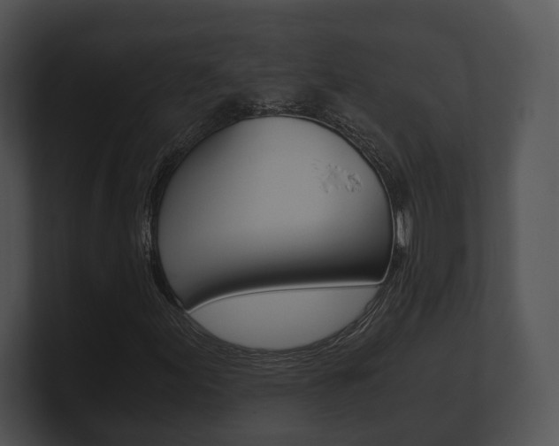 X0000100901155200806241024