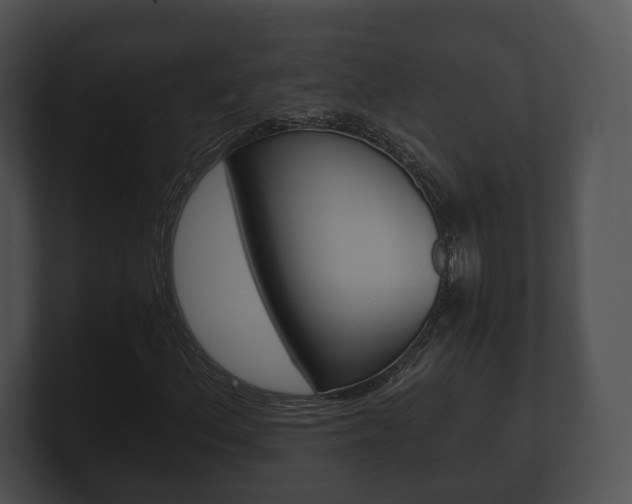 X0000100901156200806241024