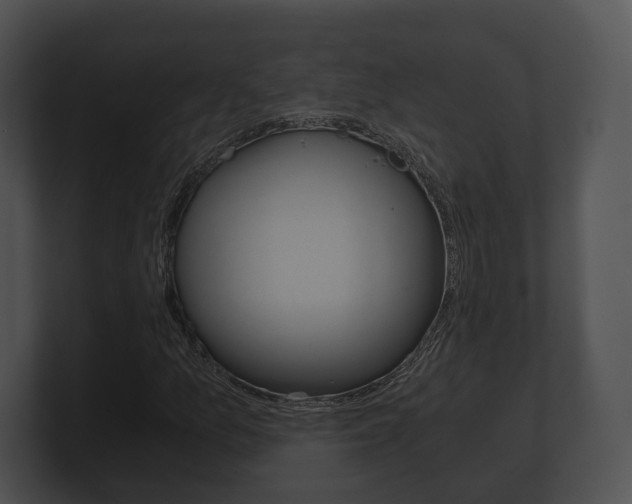X0000100901157200806241024
