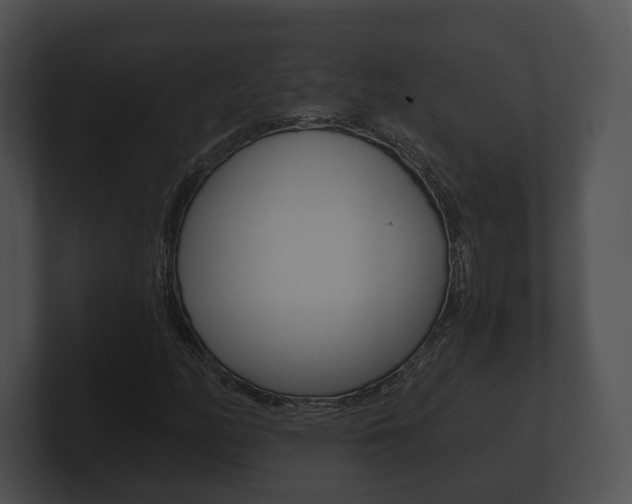 X0000100901158200806241024
