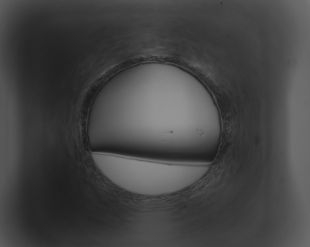X0000100901159200806241024